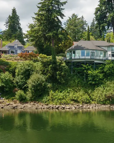 A modern house with long windows set among evergreens above a green lake shore