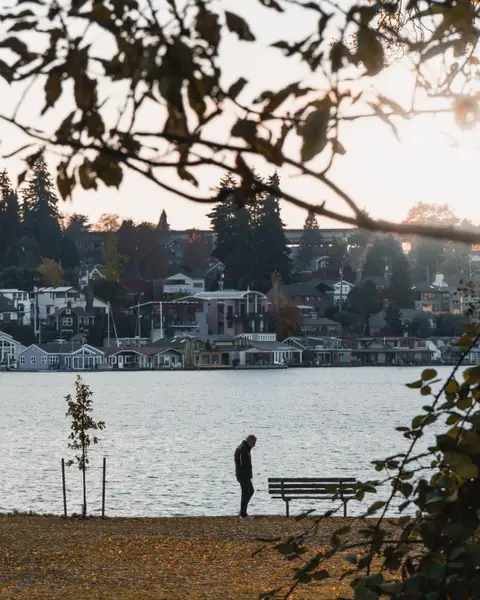 A person walking beside a lake under autumn trees
