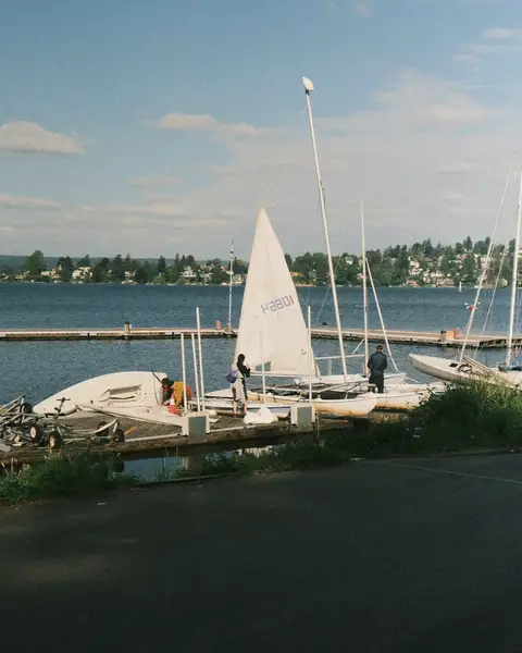Sailboats moored along a calm waterfront with homes beyond