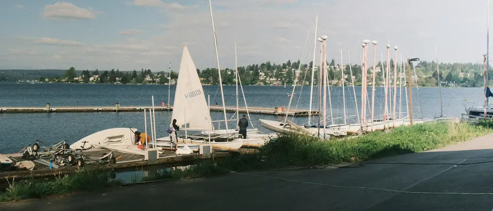 Sailboats moored along a calm waterfront with homes beyond