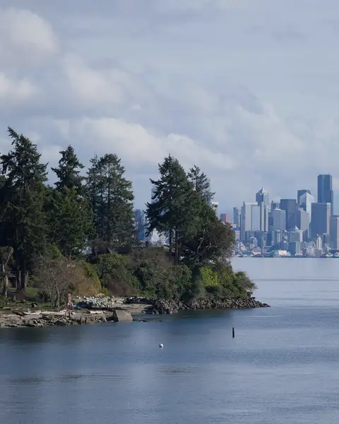 A wooded point on the water with a city skyline beyond