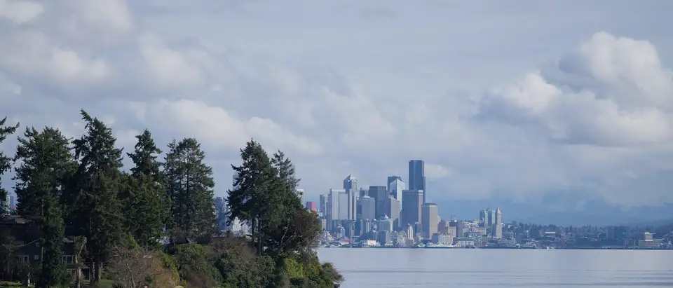 A wooded point on the water with a city skyline beyond