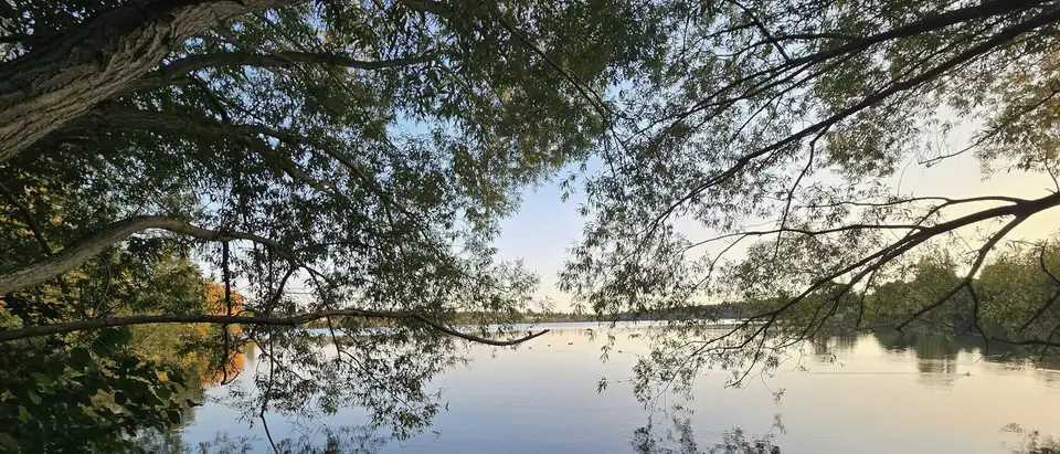 Trees and sky reflected in still lake water